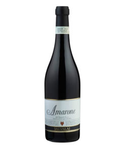 Вино Salvalai, Amarone della Valpolicella Classico DOC чевр.сухе 2012,15%,0,75