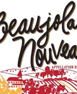 Вино Beaujolais Nouveau 2023 червоне сухе 12% 0,75